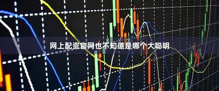 网上配资官网也不知道是哪个大聪明